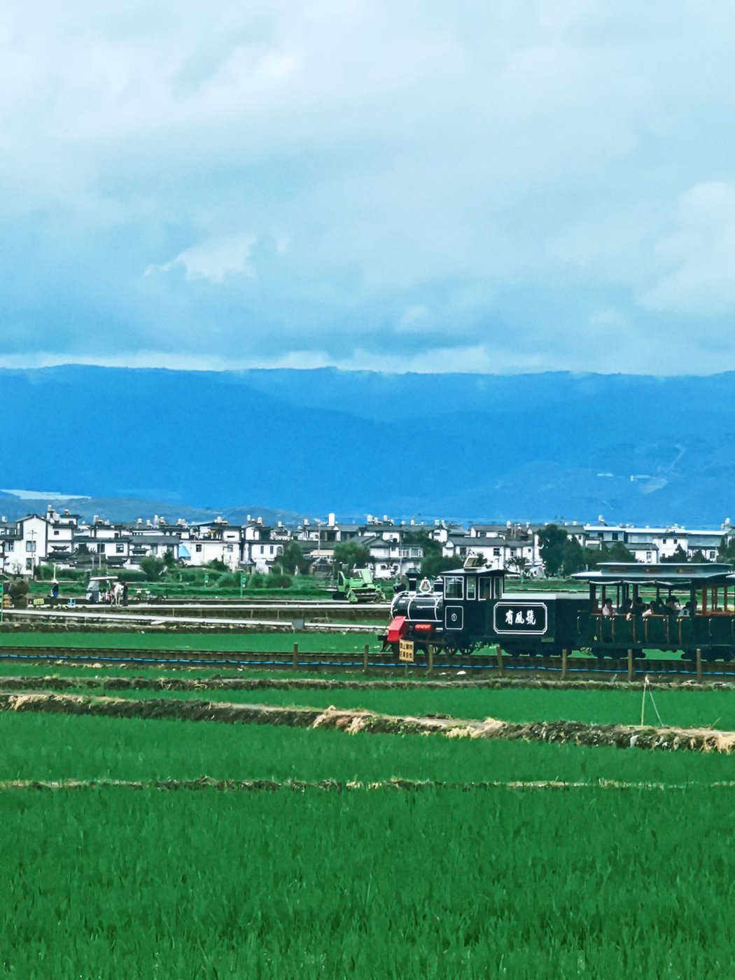 旅游 · 稻田小火车