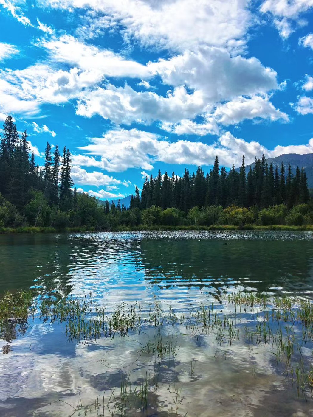 旅游 · 湖光山色